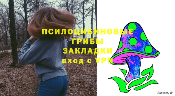 соль курить ск Богородск