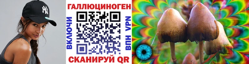 MEGA ONION Гремячинск darknet формула Псилоцибиновые грибы Psilocybine cubensis